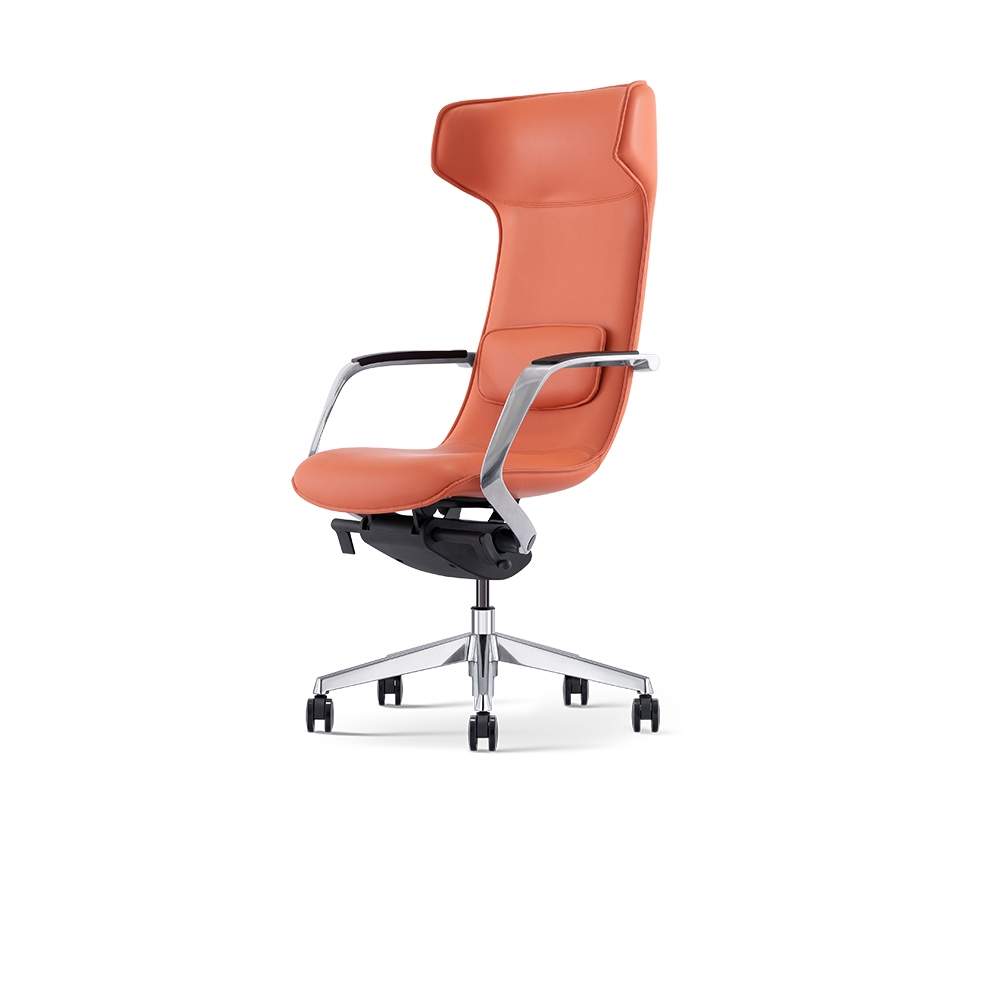 Dolphin Chair